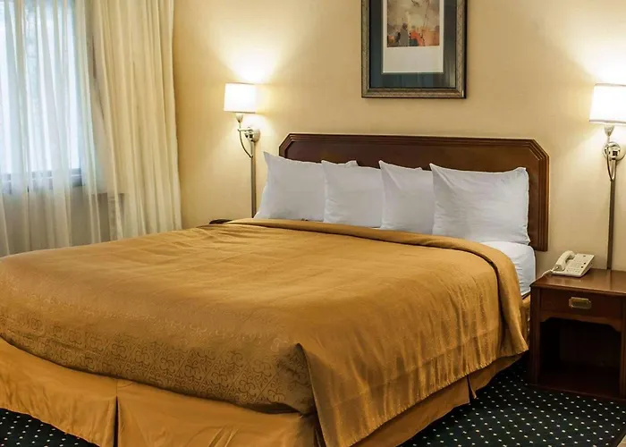 Quality Inn & Suites